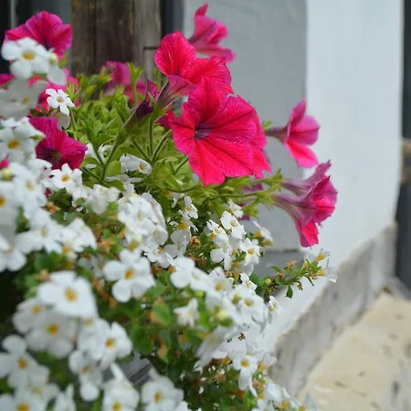 Bed & Breakfast La Grange De Sophie Vieil-Hesdin